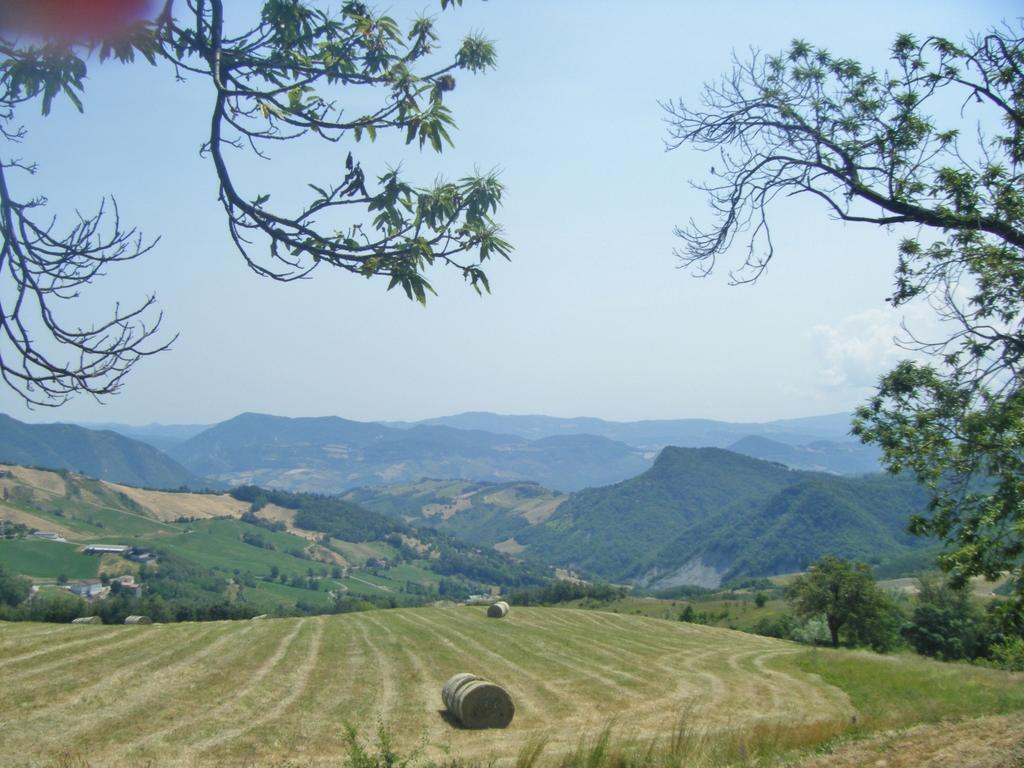 فيلا La Piana Dei Castagni Castel dʼAiano المظهر الخارجي الصورة