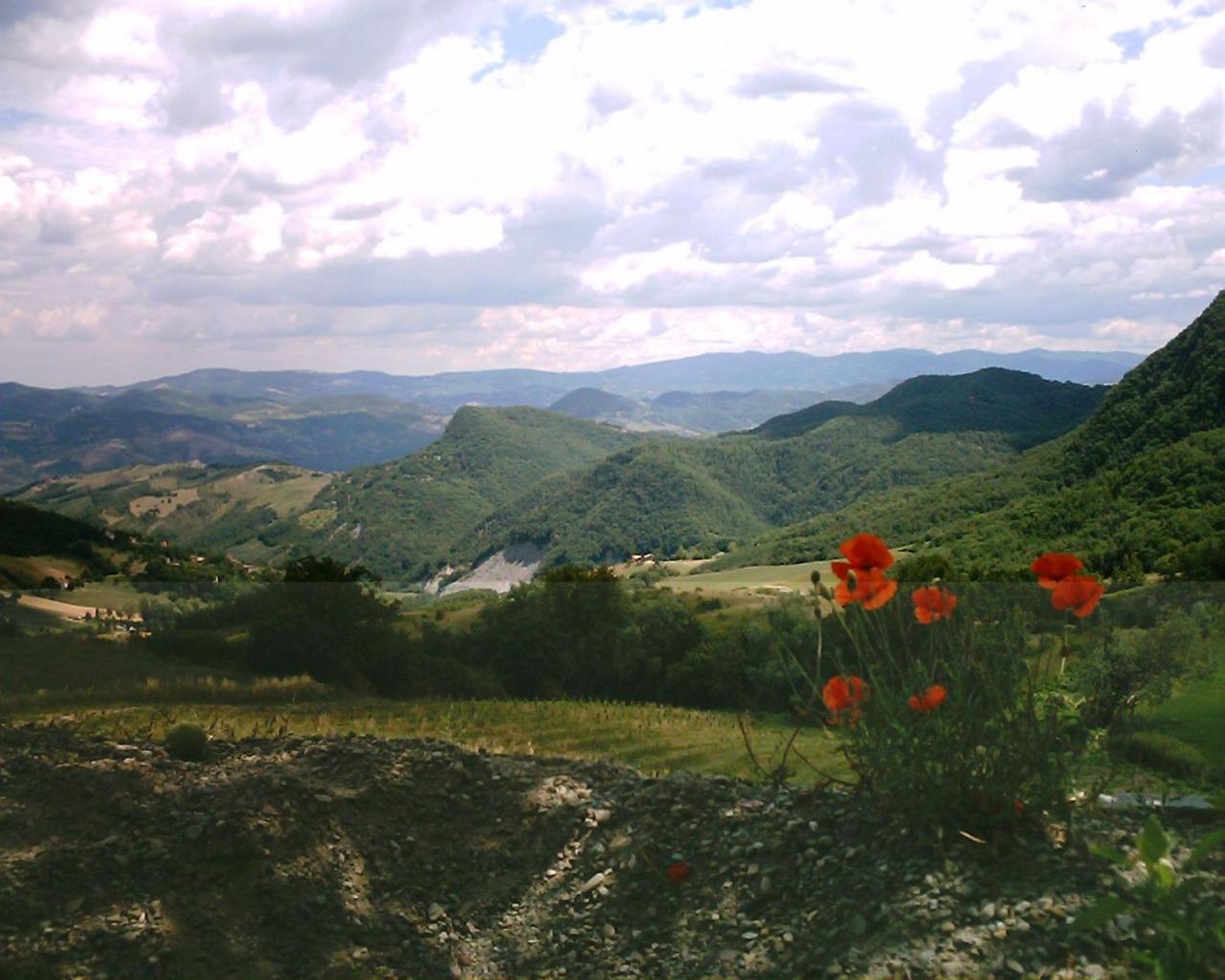 فيلا La Piana Dei Castagni Castel dʼAiano المظهر الخارجي الصورة
