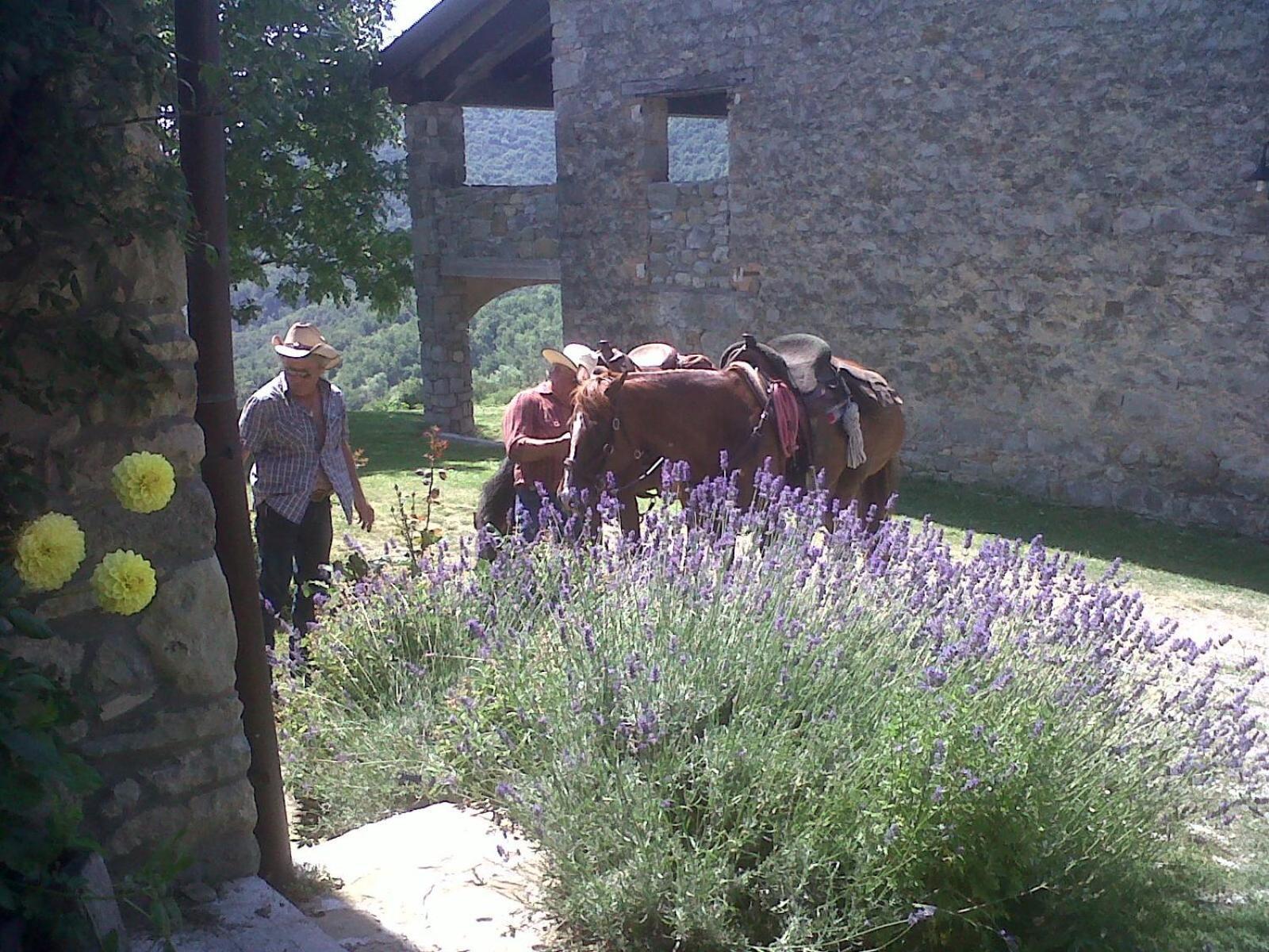 فيلا La Piana Dei Castagni Castel dʼAiano المظهر الخارجي الصورة
