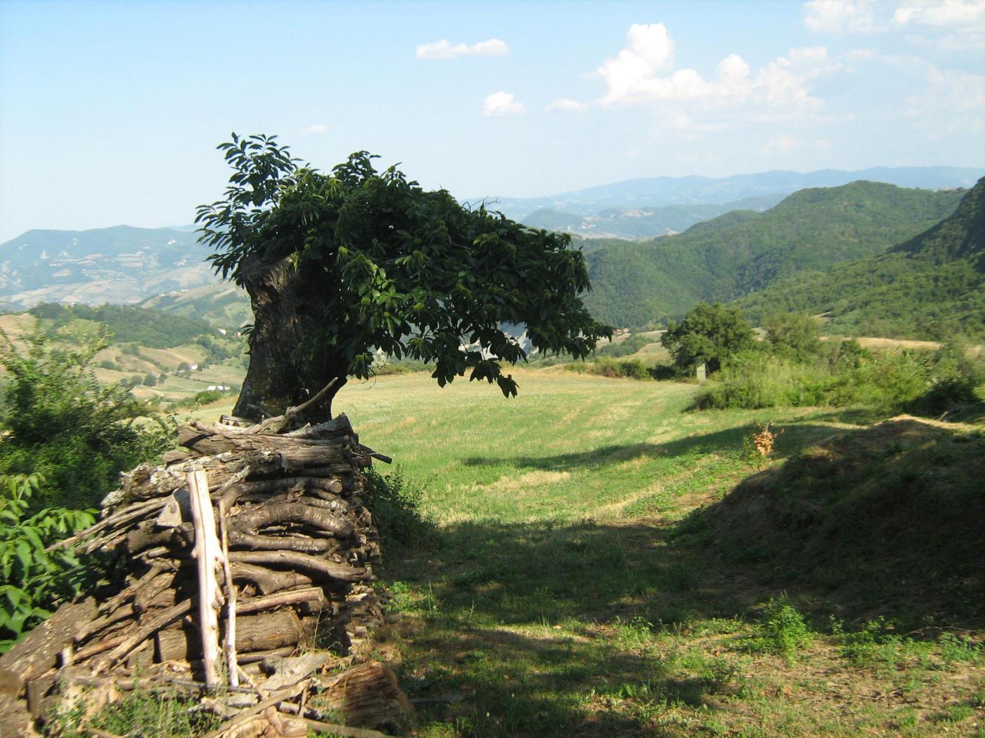 فيلا La Piana Dei Castagni Castel dʼAiano المظهر الخارجي الصورة