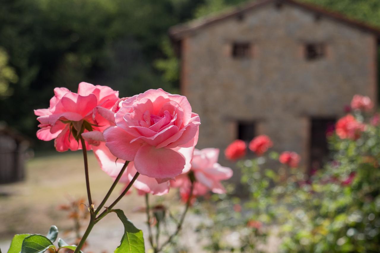 فيلا La Piana Dei Castagni Castel dʼAiano المظهر الخارجي الصورة